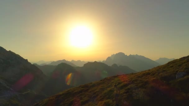 Aerial Silhouette Camera Flying Woman Hiker Dog Trekking Grassy Hill — Stock Video