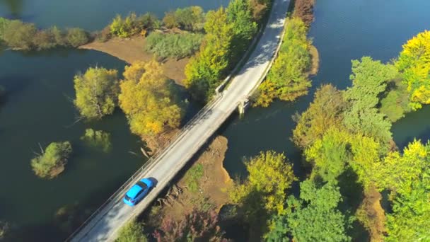 航空写真 青いハッチバックは 晴れた秋の午後に洪水の田園地帯で黄色がかった木々に囲まれた湾曲した道路をドライブします 水没した自然を巡航する青い車の人々の上を飛ぶ — ストック動画