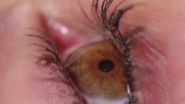 Yavaş Hareket Makrosu: Kahverengi göz yüzeyi ile temas oluşturan su damlasının ayrıntılı görünümü. Maskara kaplı kirpikler damlacık göz küresine çarptığında ürperdi. Kadın göz rahatsızlığı yatıştırmak için göz damlası uygular.