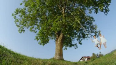 Yavaş Hareket Düşük Açı: Neşeli çift çocuklar oturan ve kamera üzerinde sallanan. Mutlu küçük erkek ve kız kardeş güneşli baharda salıncak taslanarak eğleniyor. Gülümseyen erkek ve kız bir ağacın altında sallanan
