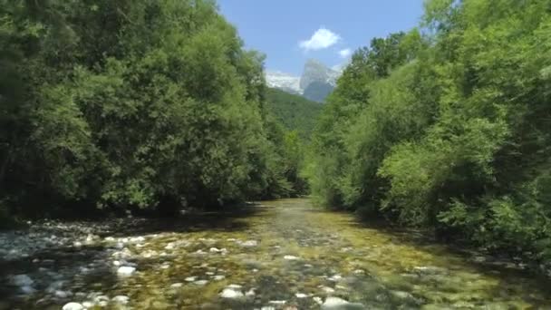 Pomalý Pohyb Blábolení Řeky Proříštím Zeleně Vířící Nad Oblázky Pokrytou — Stock video