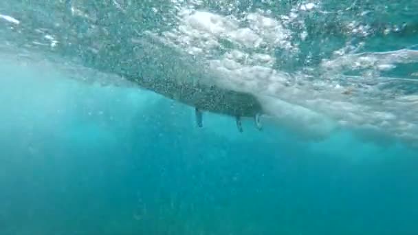 Agua Subvendedor Tabla Surf Blanca Con Aletas Azules Que Atraviesan — Vídeos de Stock