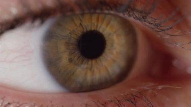 Slow Motion Close Up: Kahverengi çizgilerle süslenmiş kadının güzel yeşil gözünün detaylı yakın çekim. Uzun kirpikler üzerinde maskara ile Çekici yeşil kadın göz yavaş yavaş açılır ve parlak ışık yansıtır.