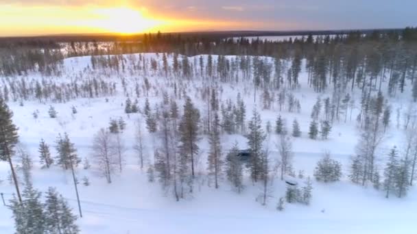 Aerial Voando Acima Carro Que Conduz Através Floresta Nevada Nascer — Vídeo de Stock