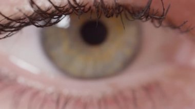 Makro Dof:Kadının güzel yeşil gözünün kahverengi çizgilerle süslenmiş makrosu. Uzun kirpikler üzerinde maskara ile Çekici yeşil kadın göz. Odak renkli yeşil iris kız siyah kirpikler değişen.
