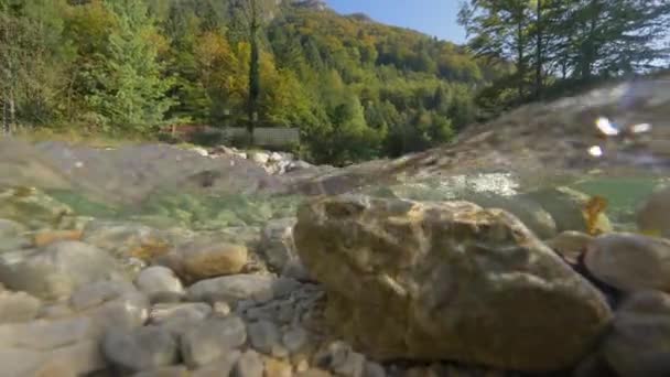 Μισό Υποβρύχιος Κρυστάλλινο Ρεύμα Ποταμού Που Περνάει Από Ένα Μοναχικό — Αρχείο Βίντεο