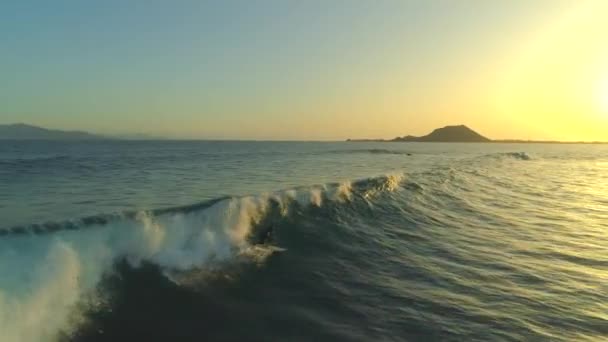 Aerial Pro Surfista Masculino Prancha Surf Montando Ondas Caindo Início — Vídeo de Stock