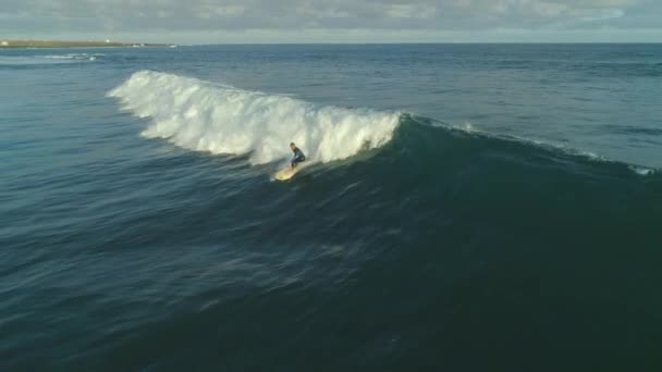 Movimiento Lento Aerial Surfista Masculino Calificado Que Monta Una Ola — Vídeo de stock