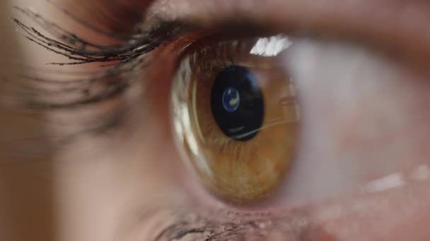 Zbliżenie Makro Szczegółowy Ekran Komputera Odbicie Buenos Aires Ładne Oko — Wideo stockowe