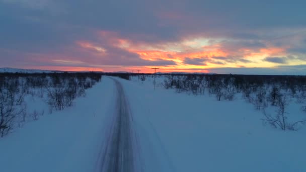 Aérial Voler Dessus Une Autoroute Vide Passant Devant Des Arbres — Video