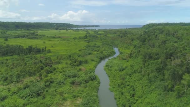 Aerial Wild Jungle Surrounds Meandering Tropical River Flowing Vast Pacific — Stock video