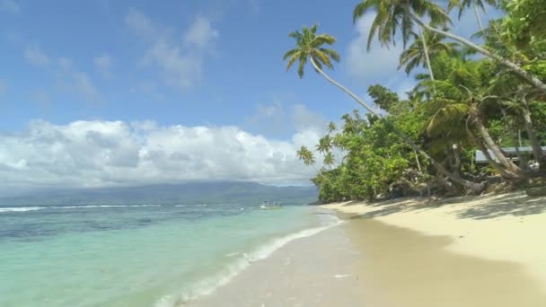 Bas Angle View Belles Plages Sable Fin Ensoleillées Île Fidji — Video