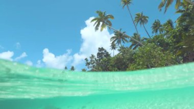 Yavaş Hareket, Yarım Yarım: Pastoral kumlu plaj zümrüt suyu ile yıkanan pitoresk çekim. Boş beyaz kumlu plaj çarpıcı turkuaz okyanus dalgaları tarafından süpürüldü ediliyor. Pastoral tatil beldesi.