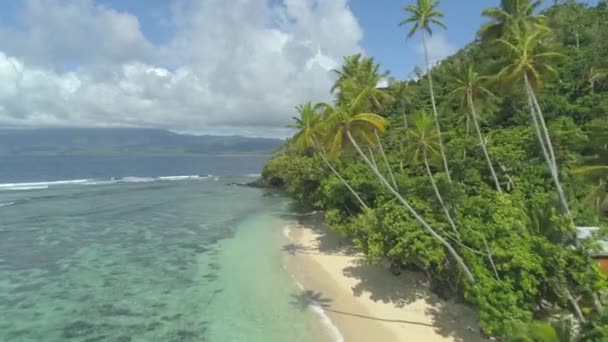 緑とヤシの木に覆われたフィジー島の息をのむような海岸線は 砂浜の上に日陰をキャスト 澄んだ青い水の中で波が形成され 海岸に向かって転がっている 見事な夏休み — ストック動画