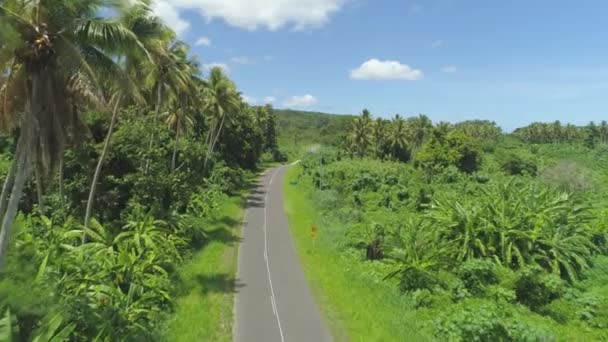 素晴らしいエキゾチックな植生は 太平洋諸島の完璧な夏の日に空のアスファルト道路を囲みます 銀色の車が遠くに近づくにつれて 空の熱帯の田園地帯のトラックに沿って飛行 — ストック動画
