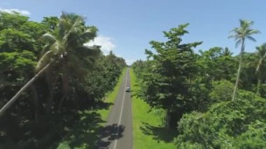 Anten: Tek bir araba güneşli ormanda önde gelen düz yolda sürücüler. Uzak egzotik adada tropikal yeşillik ile bir araba sürüş gezginler arkasında uçan. İnanılmaz yemyeşil tropikal orman