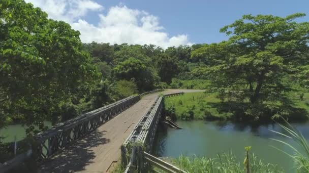 牧歌的な木製の橋は 夏の間に強烈な緑の木々に囲まれています 穏やかな青い川が自由な木材橋の下を流れるので 美しい緑豊かな緑が穏やかな風にさびついています — ストック動画