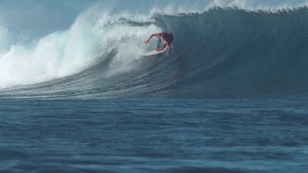 MOCIÓN LENTA: Surfista profesional extremo surfeando olas de cañón de tubo grande — Vídeo de stock