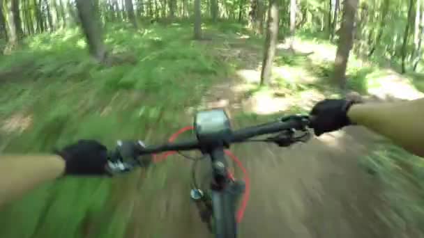 Ein Extremradler Radelte Mit Einem Elektrorad Auf Einem Sonnigen Waldweg — Stockvideo