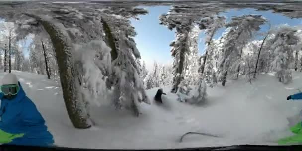 360 Overcapture 雪の山森のパウダースノーに乗ってフリーライド スノーボード少女 冬服バックカントリーの荒野でスノーボードの新雪で 若い女性 日当たりの良い冬の休暇 — ストック動画