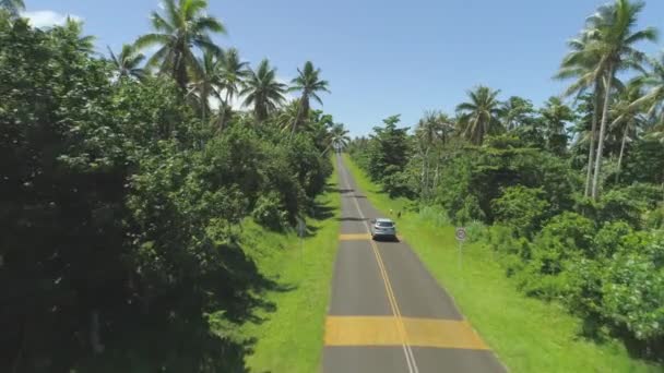 Aereo Solo Auto Guida Lungo Stretta Strada Asfaltata Circondata Pittoresca — Video Stock