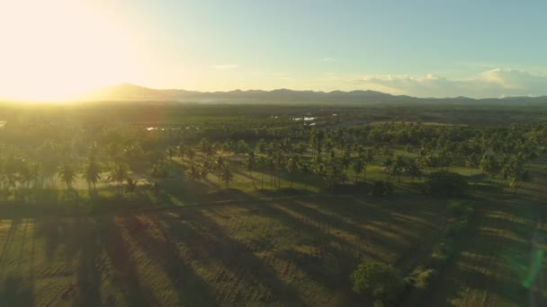 Антена Lens Flare Літаючих Напрямку Захоплюючий Захід Сонця Світить Красивий — стокове відео