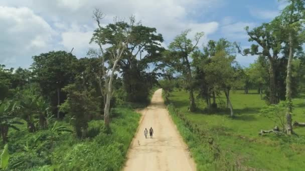 Antenne Sie Überfliegt Einheimische Die Mit Ihrem Hund Auf Einem — Stockvideo