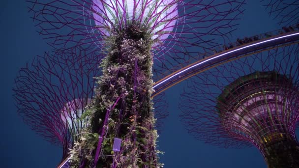 ローアングルクローズアップ 夕暮れ時にシンガポールに位置する記念碑的な都市複合体 カラフルなライトで飾られた魅惑的な観光スポット 都市環境に自然をもたらす湾の庭園 — ストック動画