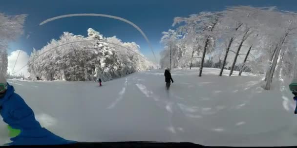 360 自由滑雪板女孩骑在雪山森林粉末雪 年轻女子穿着冬装在乡村荒野中滑雪板新鲜的雪 阳光明媚的寒假 — 图库视频影像