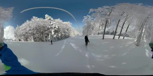 360 Overcapture Freeride Snowboard Flicka Ridning Pudersnö Snötäckta Bergskog Ung — Stockvideo