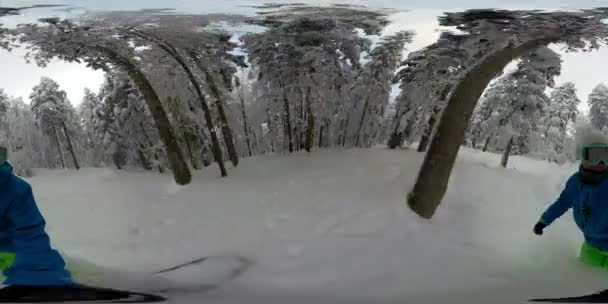 360 Overcapture 雪の山森のパウダースノーに乗ってフリーライド スノーボード少女 冬服バックカントリーの荒野でスノーボードの新雪で 若い女性 日当たりの良い冬の休暇 — ストック動画