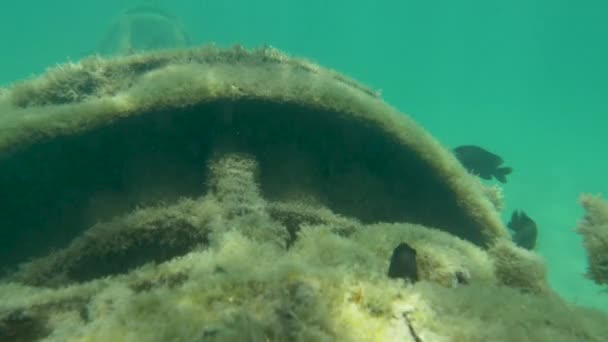Underwoter Close Старые Обломки Истребителя Обеспечивают Искусственную Среду Обитания Рыб — стоковое видео
