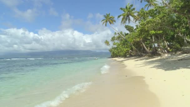 Låg Vinkel Utsikt Vackra Solbelysta Sandstränder Fiji Island Perfekt För — Stockvideo