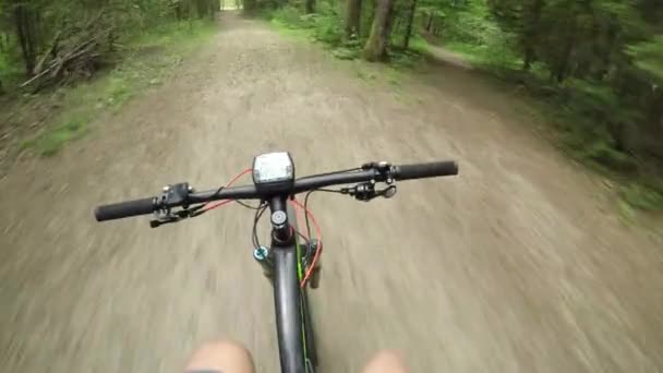 Pov Pro Bike Rider Fietsen Een Macadam Bos Route Handsfree — Stockvideo