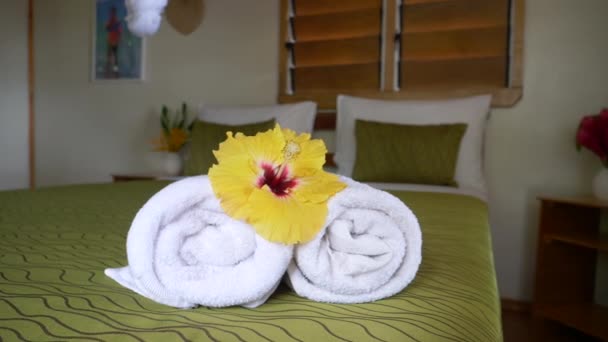 Chiudi Tranquillo Camera Albergo Con Decorazione Minimalista Rilassarsi Vacanza Tropicale — Video Stock