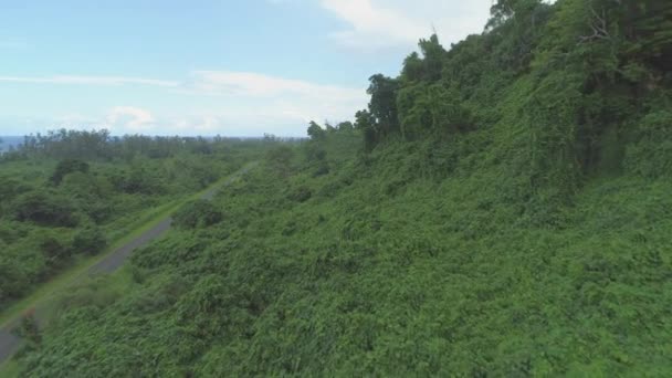 Aerial Volando Sobre Densa Vegetación Tropical Creciendo Cerca Camino Asfalto — Vídeos de Stock