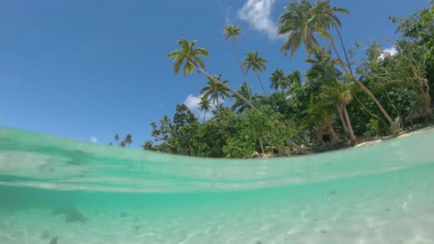 HALF HALF : Vue fascinante du ciel au-dessus du rivage sablonneux depuis les eaux bleues claires qui l'entourent. Exploration du monde sous-marin sur l'île de Fidji. Verre comme surface de la mer scintillant sur le fond de l'océan 