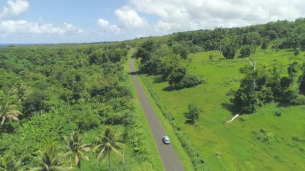 Aerial Cool Shot Lone Car Driving Overgrown Jungle Nature Picturesque — 비디오