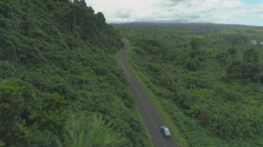 Anten: Beyaz araba Pasifik Adaları yemyeşil yağmur ormanları ile çevrili boş asfalt yol boyunca sürücüler. Maceracı gezginler el değmemiş Vanuatu yoğun orman overgrowing tepeler geçmiş kiralık araç sürücü.