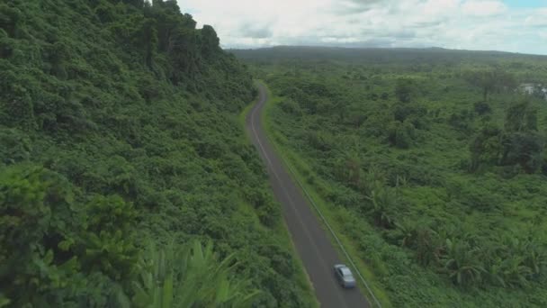 航空写真 白い車は 太平洋諸島の緑豊かな熱帯雨林に囲まれた空のアスファルト道路に沿って運転します 冒険的な旅行者は 手つかずのバヌアツで高密度のジャングルを過ぎてレンタカーを運転します — ストック動画