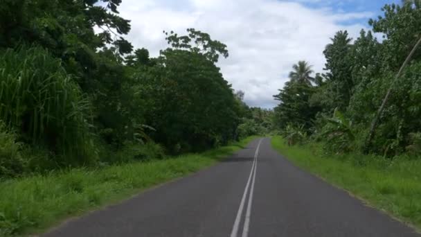 Pov Leszorítják Szűk Aszfaltozott Vezet Keresztül Sűrű Dzsungelben Vanuatu Lovaglás — Stock videók