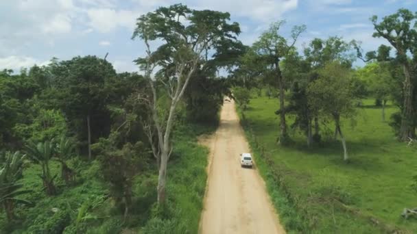 Грузовики Автомобили Встречаются Пыльной Дороге Удивительном Тропическом Лесу Летит Оживленной — стоковое видео