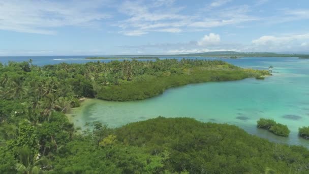 Aerial Voando Sobre Exuberante Floresta Tropical Praias Areia Branca Tirar — Vídeo de Stock