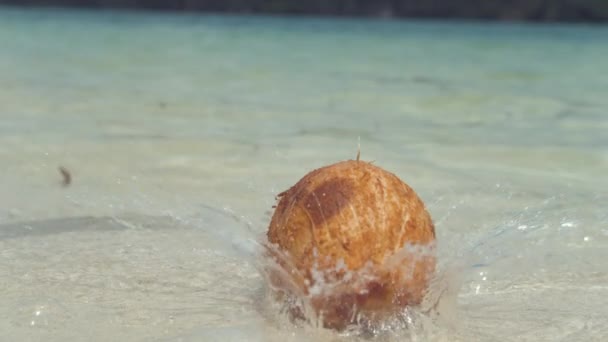 スローモーション ローアングル クローズアップ ココナッツはヤシの木から 日当たりの良い熱帯の島の近くの浅瀬に滴り どこにでも飛んで水滴を送ります ココナッツは美しい白い砂浜に落ちる — ストック動画