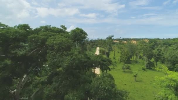 Aerial Flying Dusty Gravel Road Busy Quarry Lush Tropical Forest — Stock Video