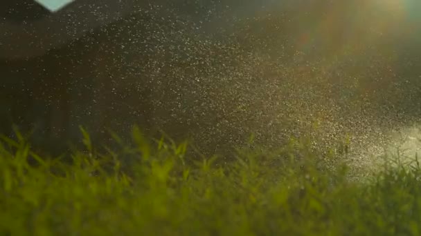 慢动作 镜头火焰 春天的阳光照耀在宁静的草坪上被灌溉 宽阔的花园在美丽的日出时浇水 小闪闪发光的水滴落在平静的后院 — 图库视频影像