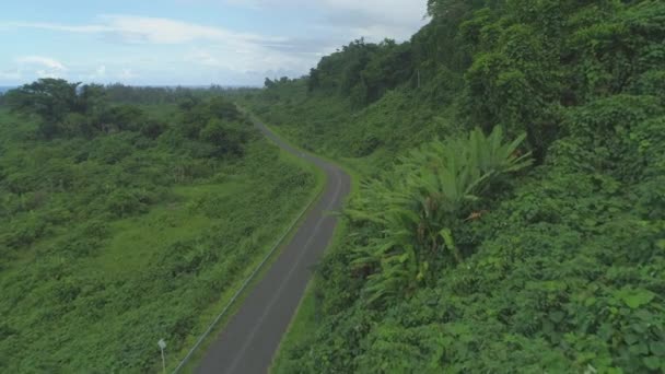 静かな太平洋諸島の無限の密集したジャングルの風景を通って走る遠隔アスファルト道路の上を飛ぶ 遠くの地平線に手を伸ばす静かな熱帯雨林の息をのむようなショット — ストック動画