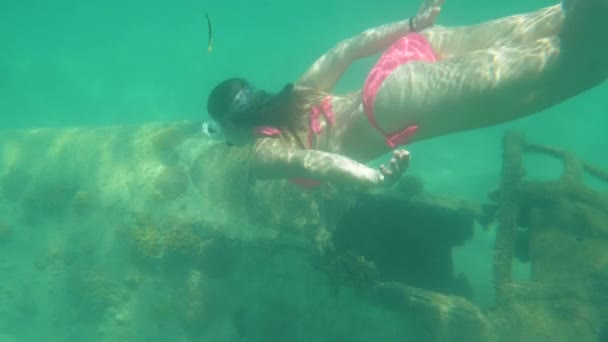 슬로우 여행자는 바다에서 다이빙하는 비행기를 탐험한다 분홍색 비키니를 여성이 바닥에 — 비디오