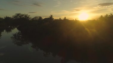 Aerial Lens Flare Turuncu yağmur ormanları ile kıvrımlı sakin nehir üzerinde parlayan güneş batma. Fiji adasında ki sakin tropik palmiye ormanı, tepelerin arkasında güneş batarken karanlıkta kayboluyor.