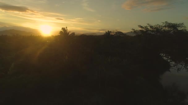 Aerial Impresionante Atardecer Verano Envuelve Palmeras Exóticas Espectacular Isla Fiyi — Vídeos de Stock